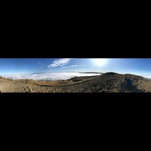 Meet your Posher, Omar